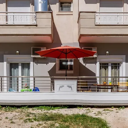 Olive Tree Limenaria (Thasos)