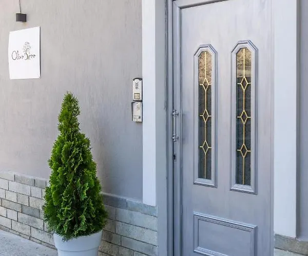 Apartament Olive Tree Limenaria (Thasos)