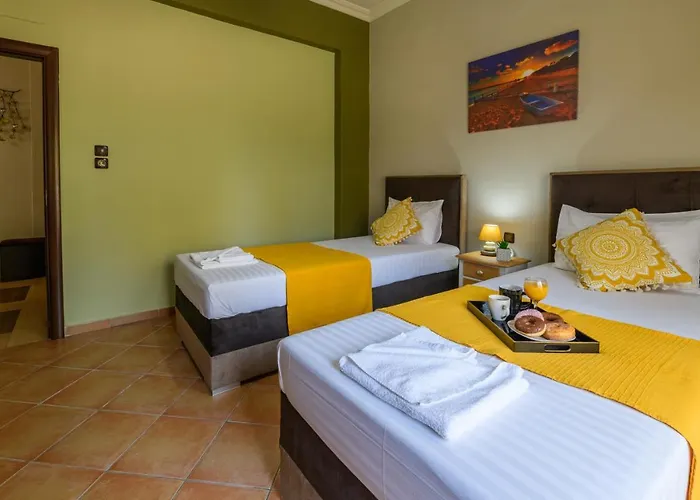 Olive Tree Apartament